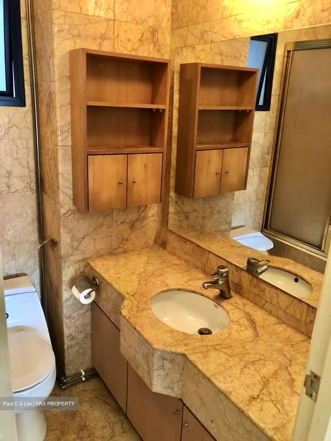 Nineteen Shelford Road (D11), Condominium #534194611